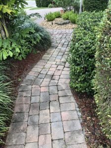 Home walkway before pressure Cleaning services in Coral Springs