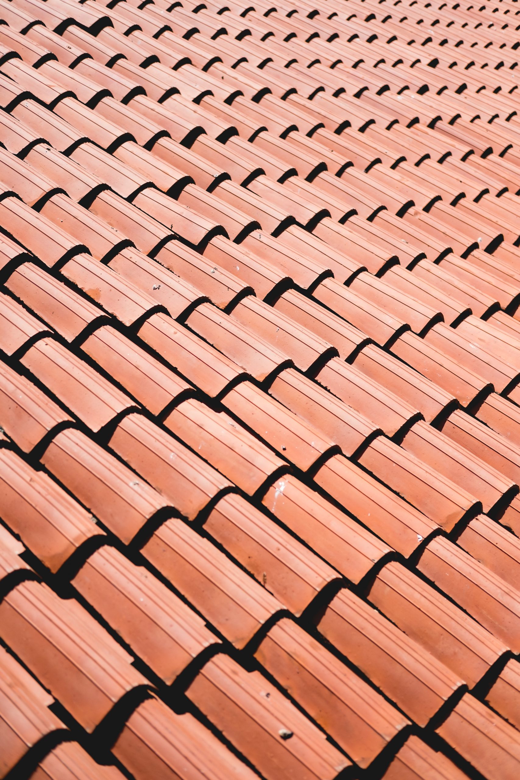 Why Roof Washing is Important. Tile Roof